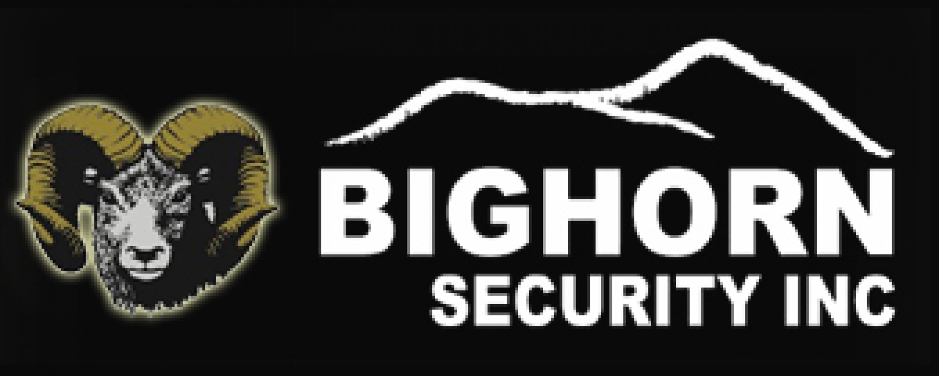 BigHorn Security Inc