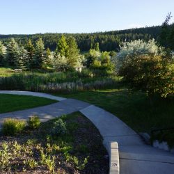 Pineview Valley Park 24