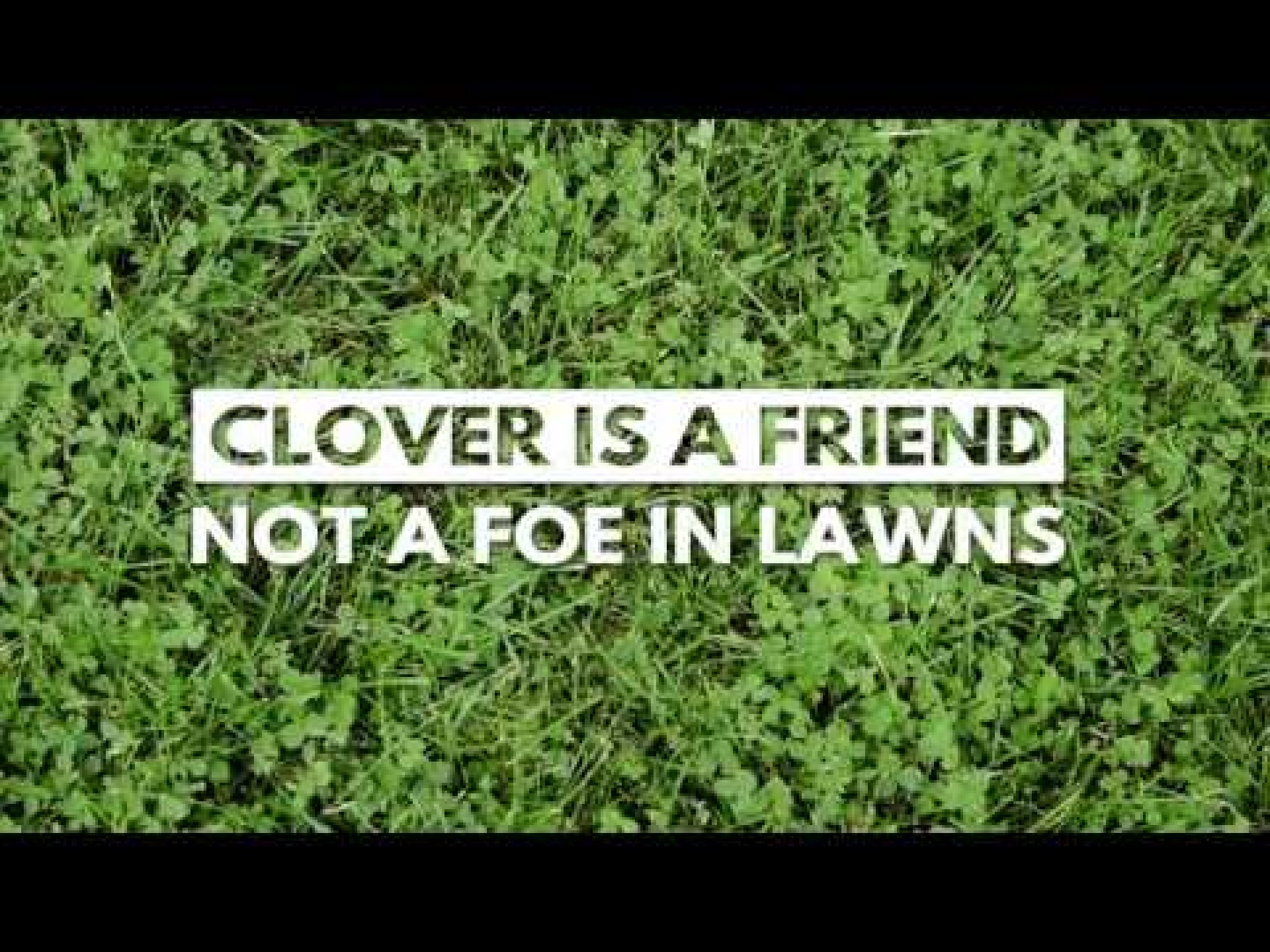 City of Kamloops - Clover is a friend, not a foe