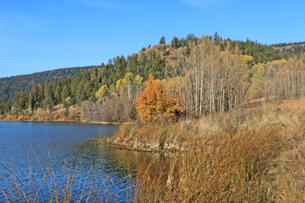 Above Lac du Bois - Kamloops Trails