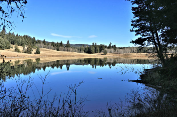 Clapperton Ridge in Fall - Kamloops Trails