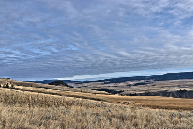 Napier Ranch Conservancy in the Fall