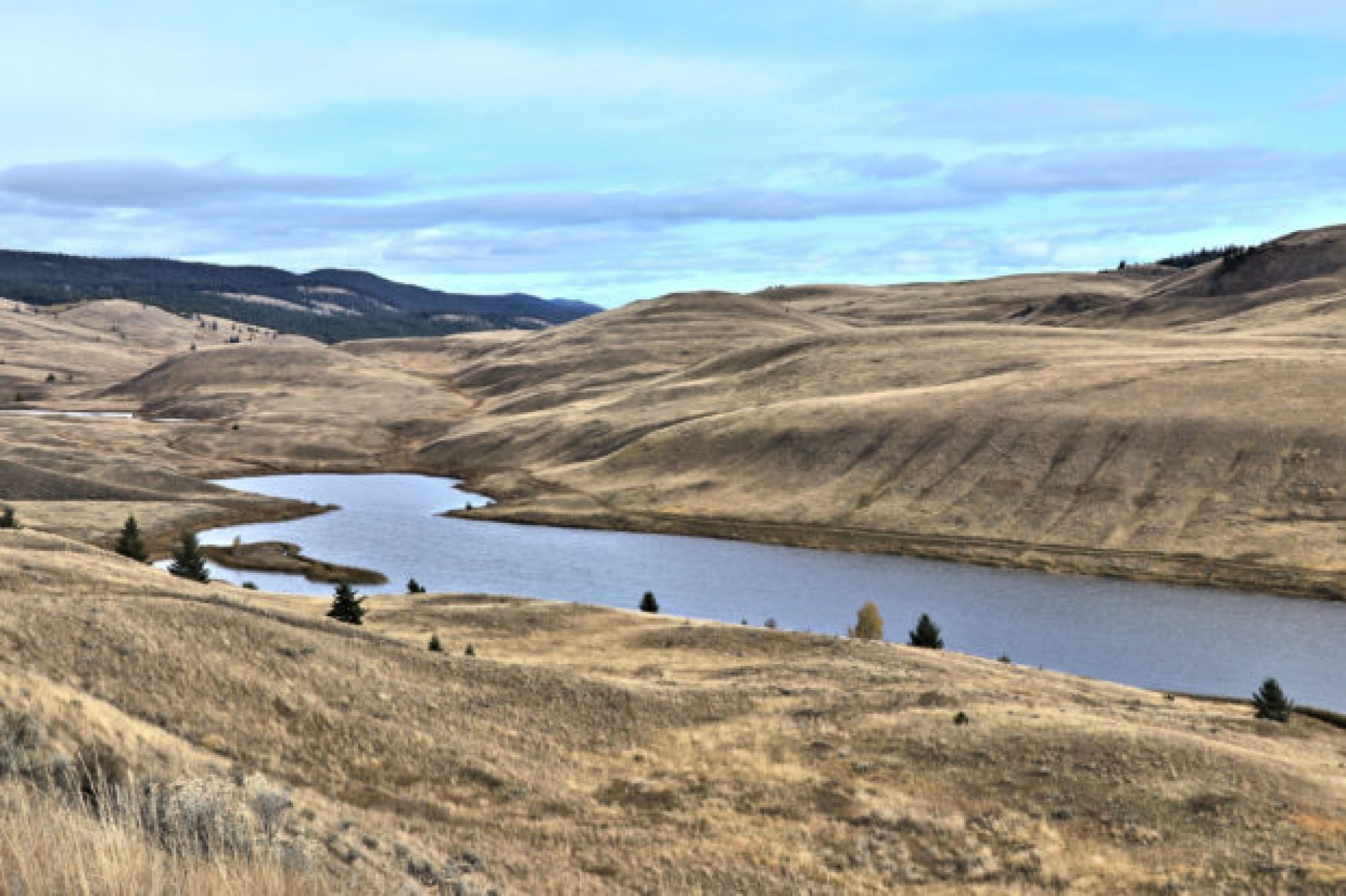 The Grasslands in Fall - Kamloops Trails