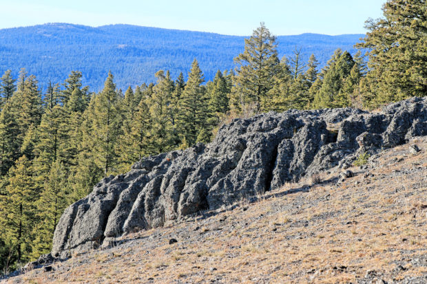 Wheeler Mountain Ramble - Kamloops Trails