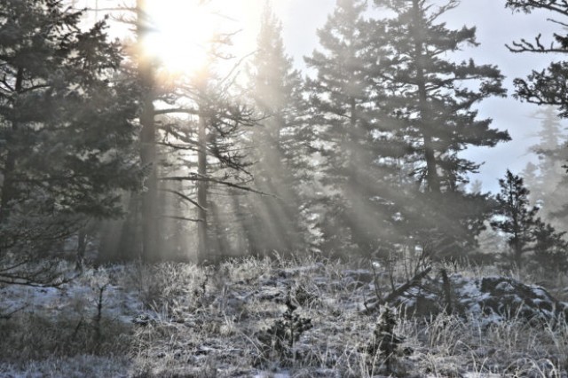 A Frosty Sugarloaf Hill – Kamloops Trails