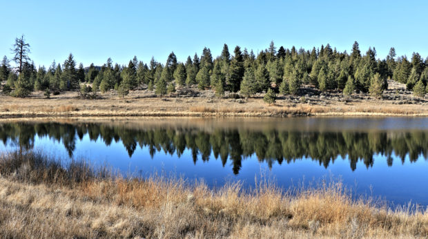 More Ironmask Hills, Trails, and Ponds