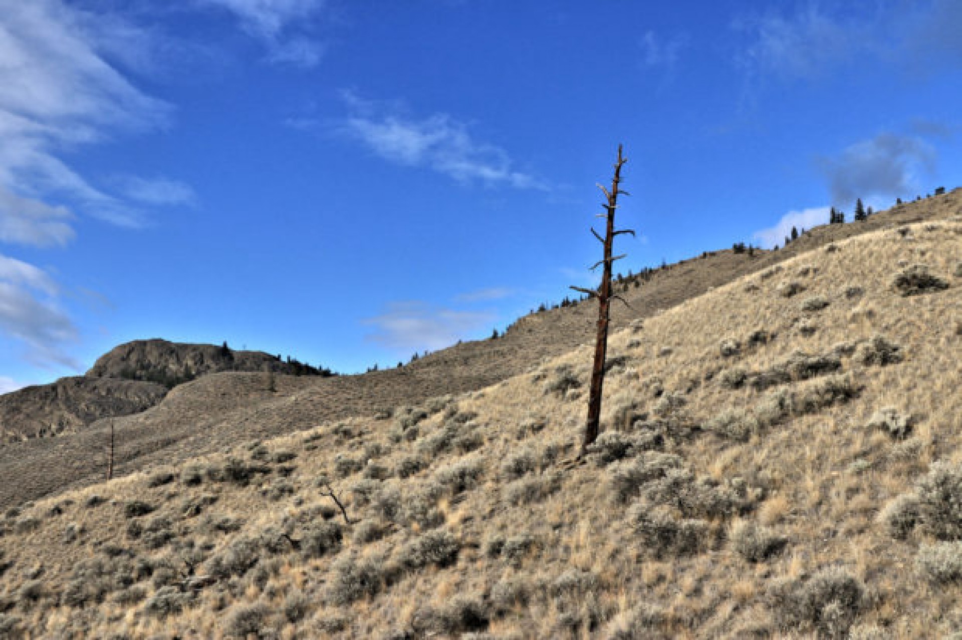 Tranquille Hills Fossil Beds - Kamloops Trails
