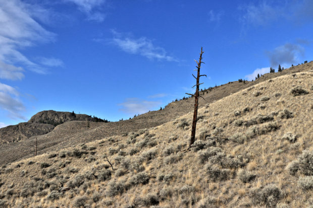 Tranquille Hills Fossil Beds - Kamloops Trails