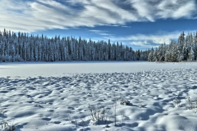 Lodgepole Lake Snowshoeing – Kamloops Trails