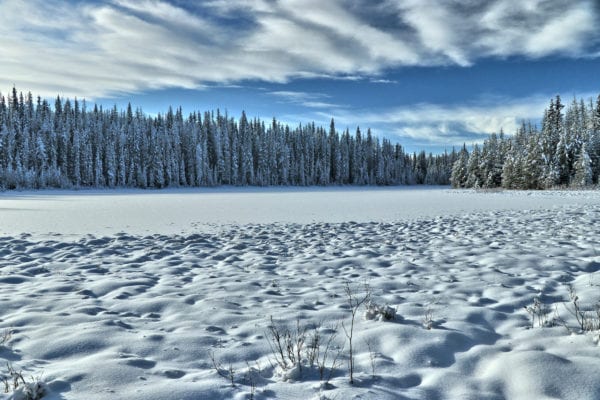 Lodgepole Lake Snowshoeing - Kamloops Trails