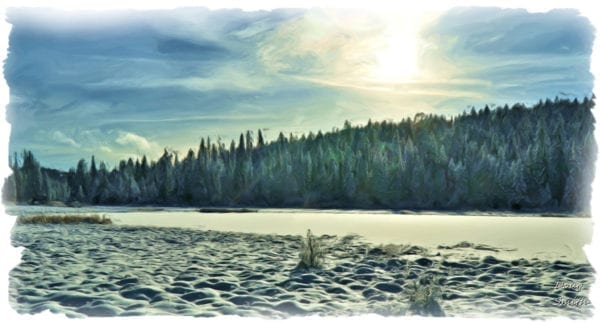 On Bush Lake - Kamloops Trails