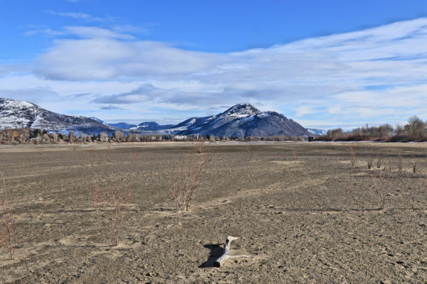 A Winter Walk on the Mission Flats Beaches