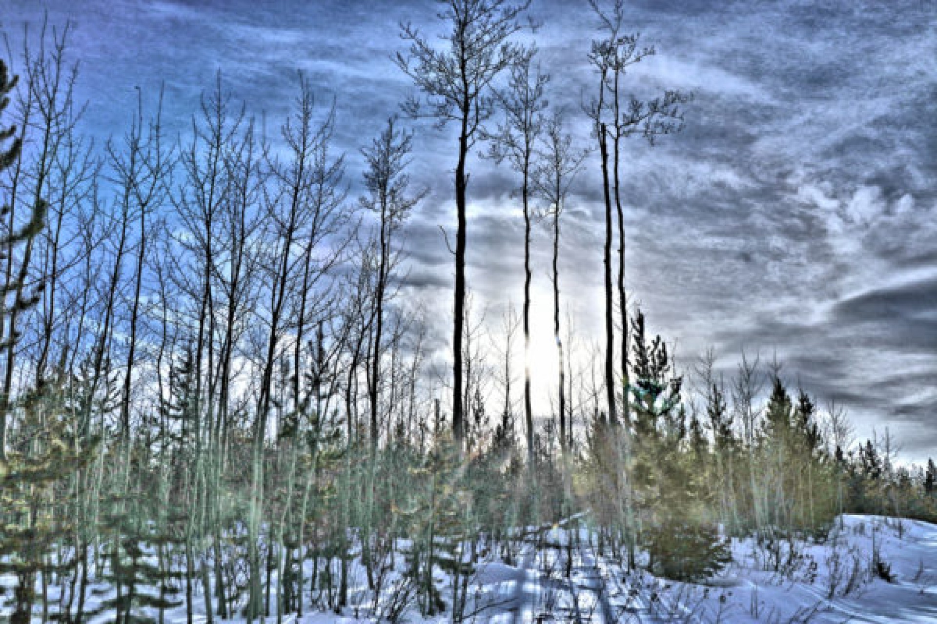 Snowshoeing on Hull Hill - Kamloops Trails
