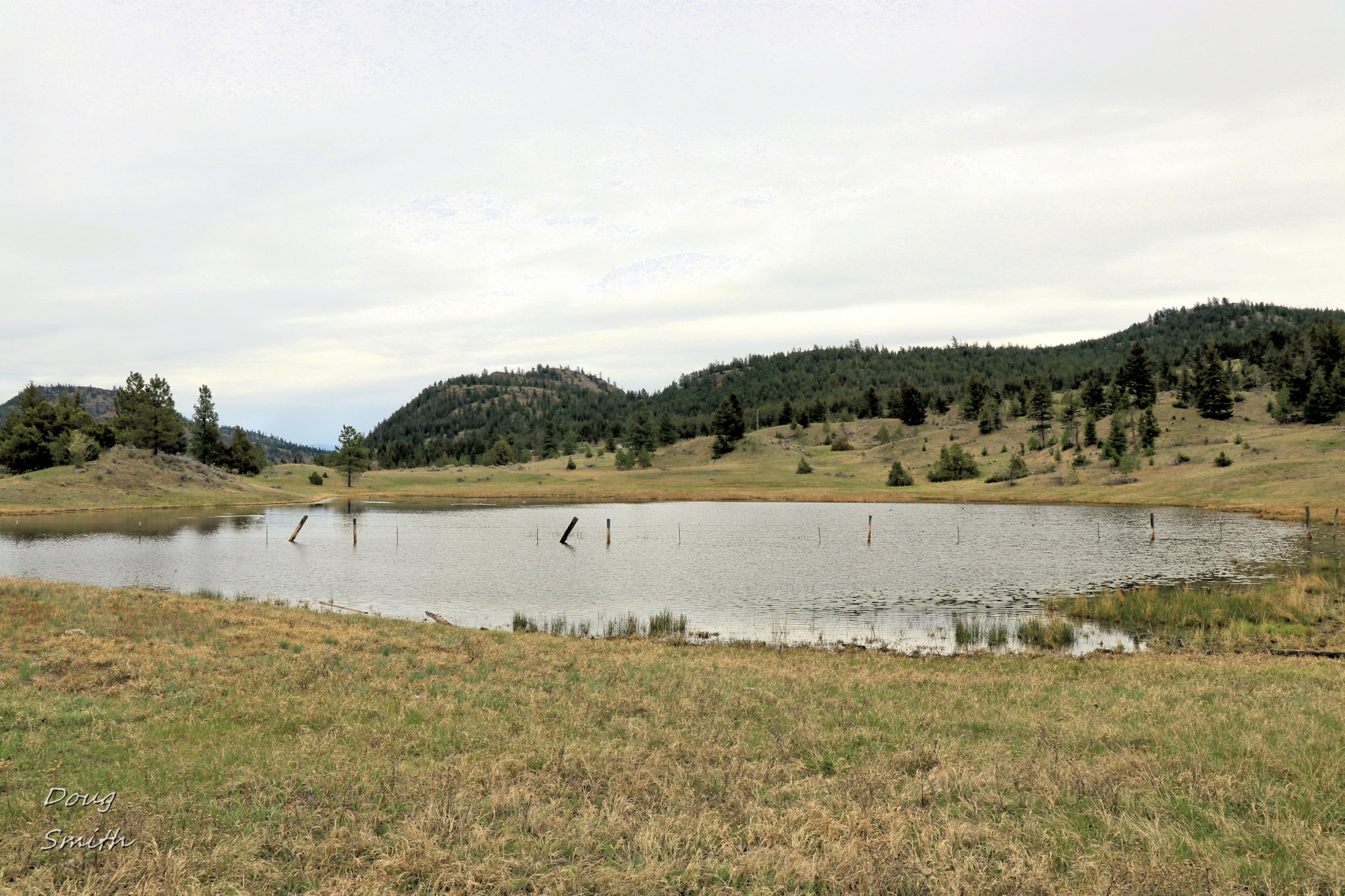 On the Barnes Lake Trails