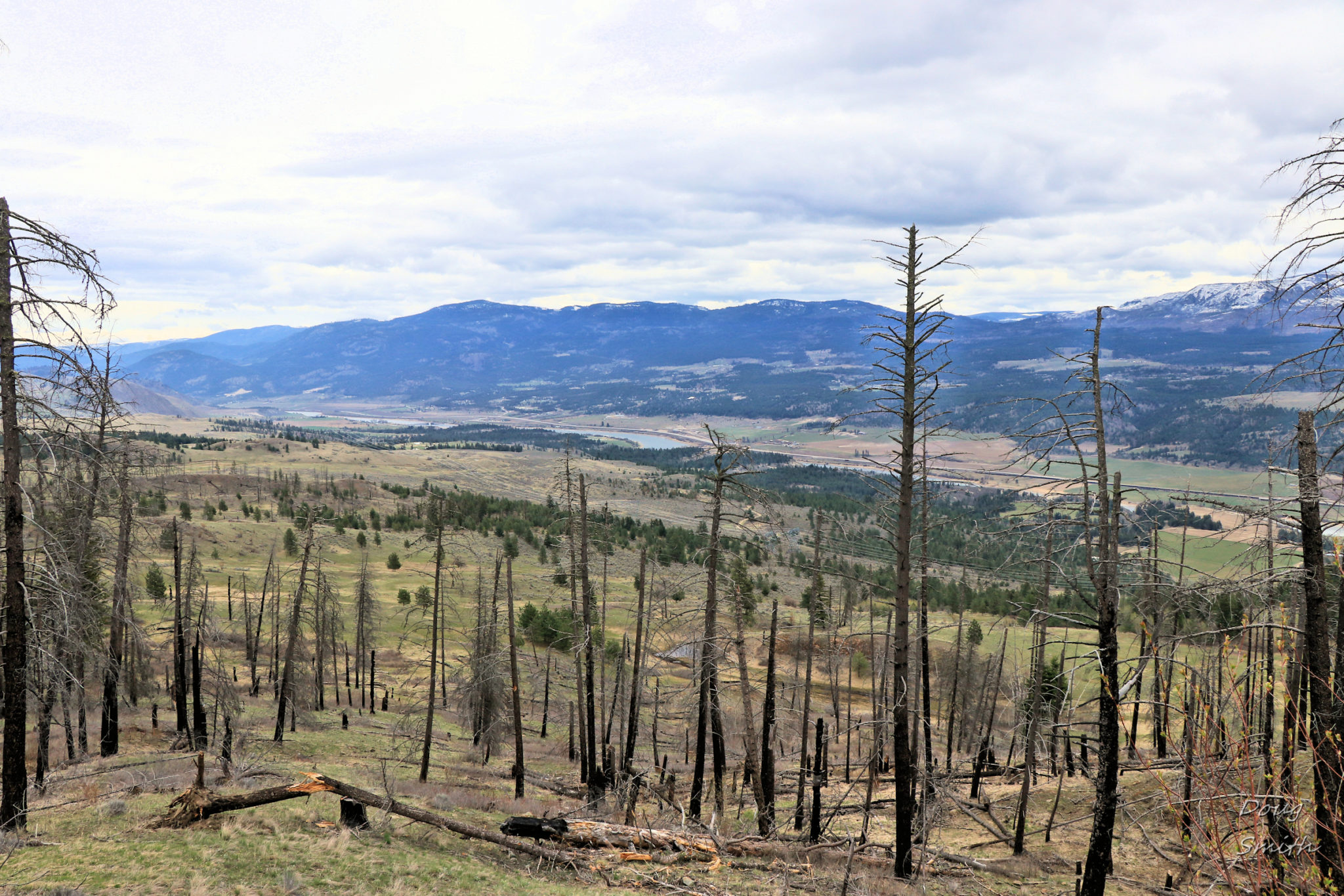 Upper Lions Head Hills - Kamloops Trails