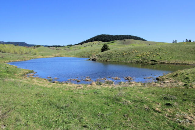 Lac Du Bois Hills in May