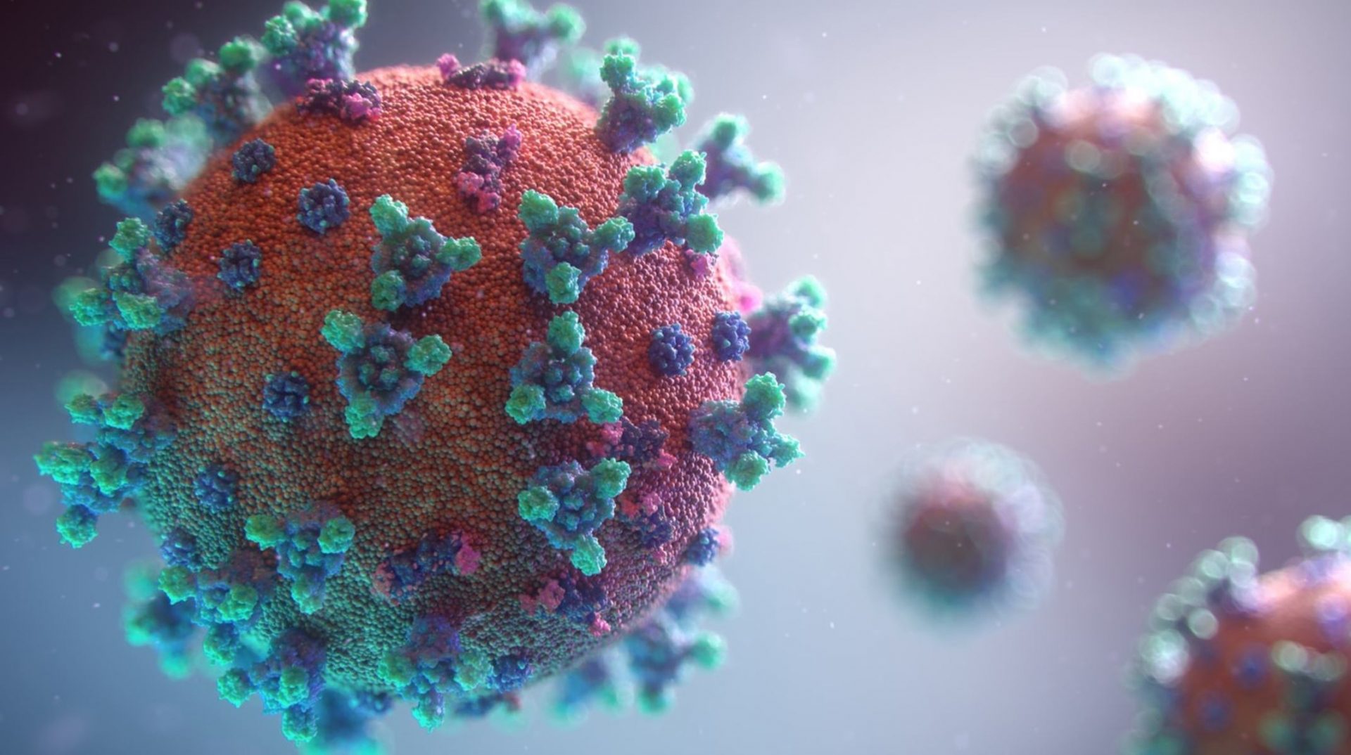 Microscopic view of the COVID-19 virus