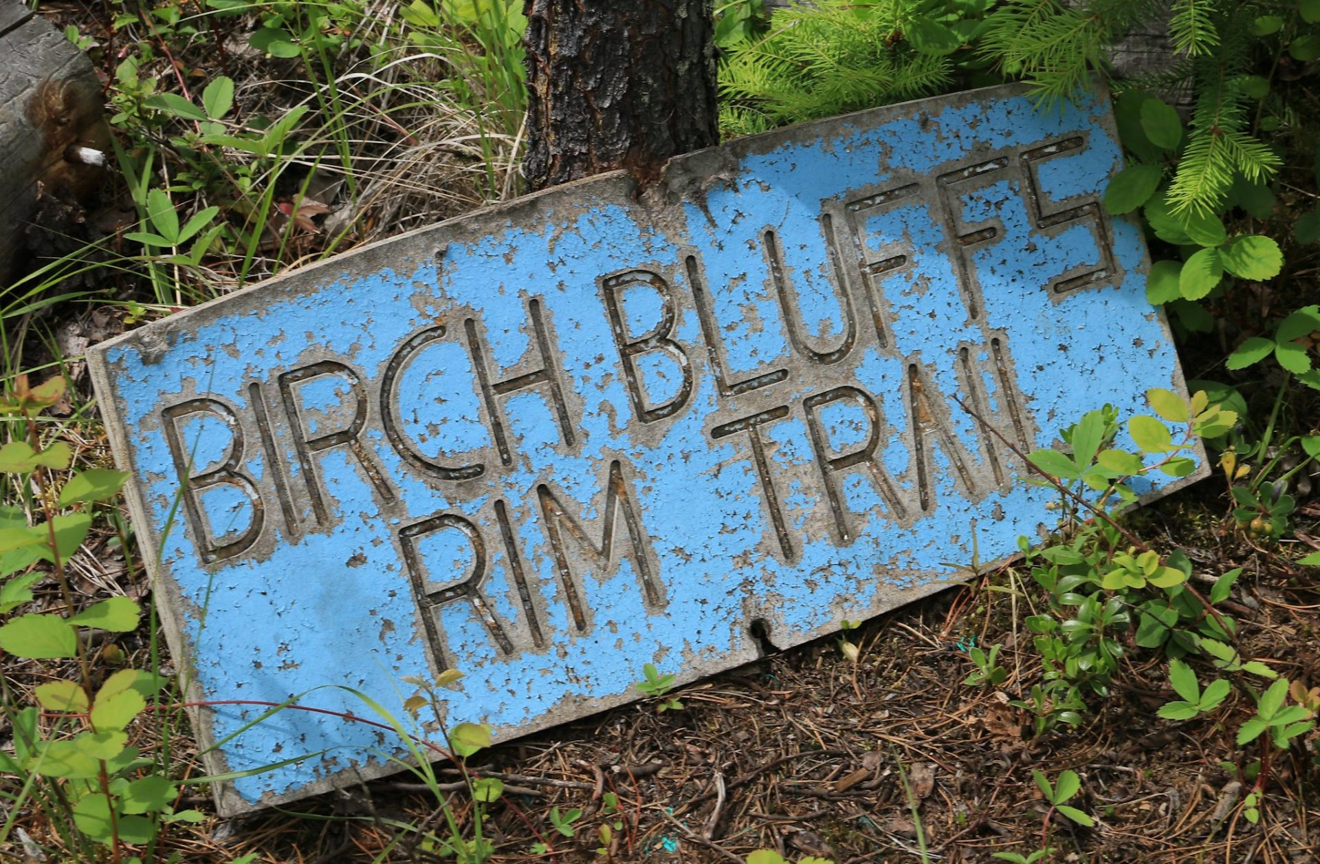 Birch Bluffs Rim Trail - Kamloops Trails
