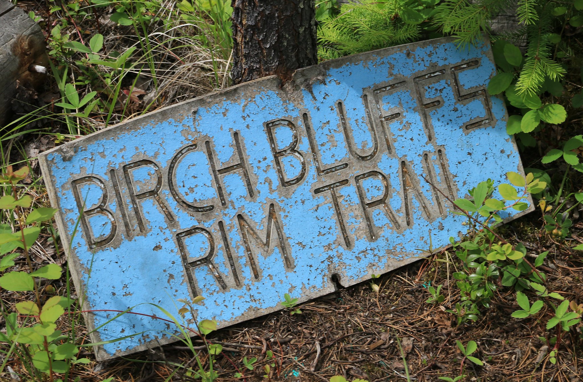 Birch Bluffs Rim Trail - Kamloops Trails