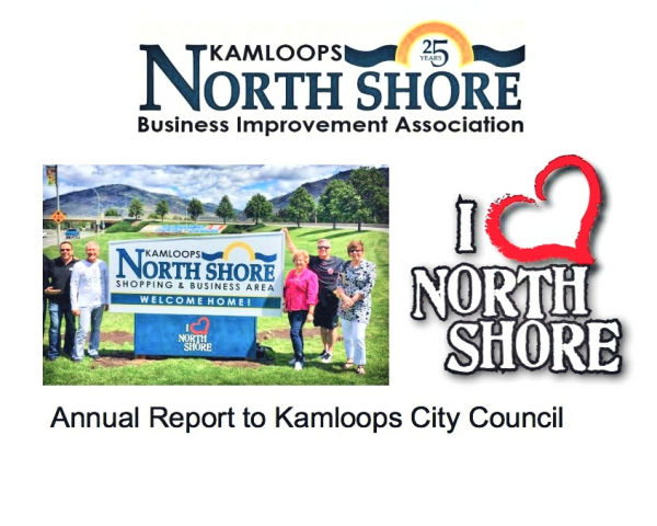 How was the Year at the North Shore Business Improvement Association?
