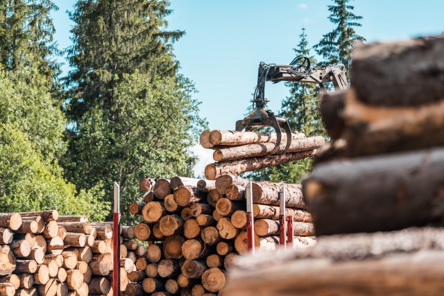 We Need to Protect Logging and Forestry in Clearwater in 2020