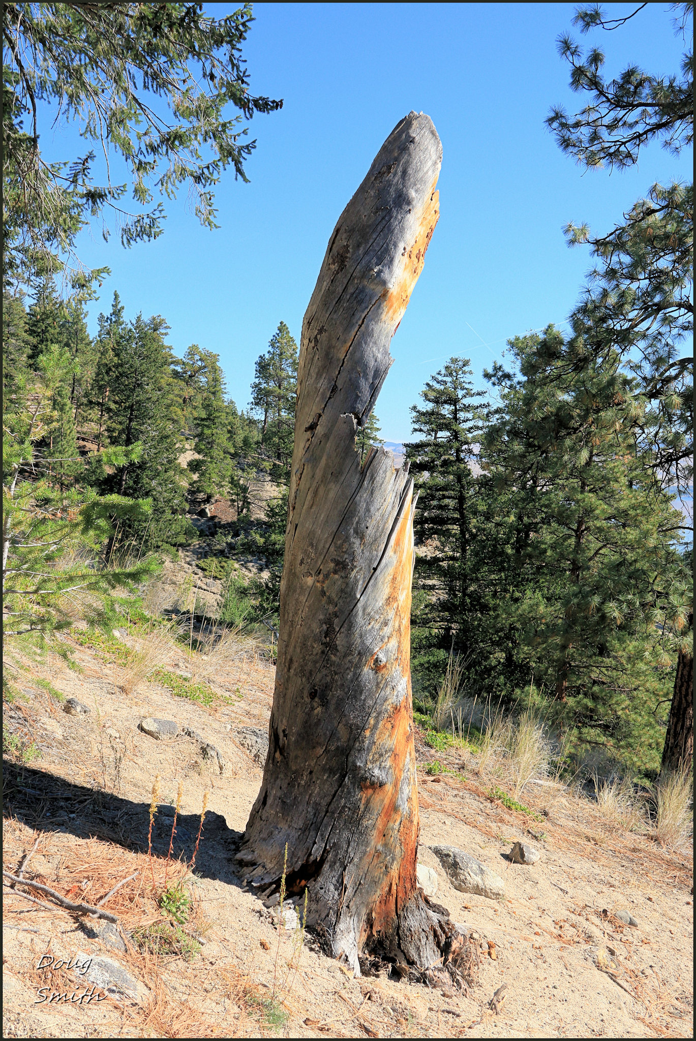 Monck Park Trails - Kamloops Trails