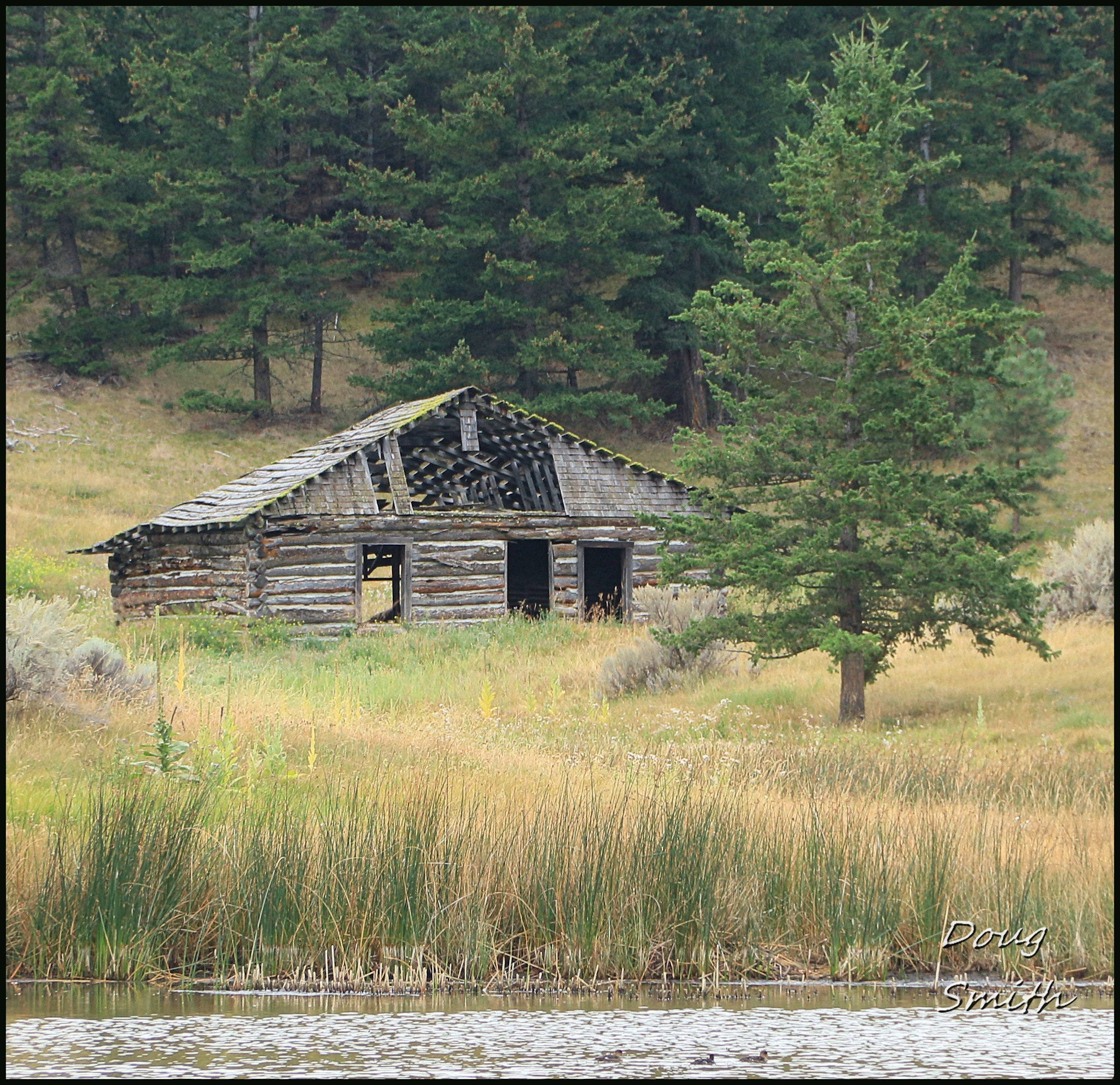 Hidden Homesteads - Kamloops Trails