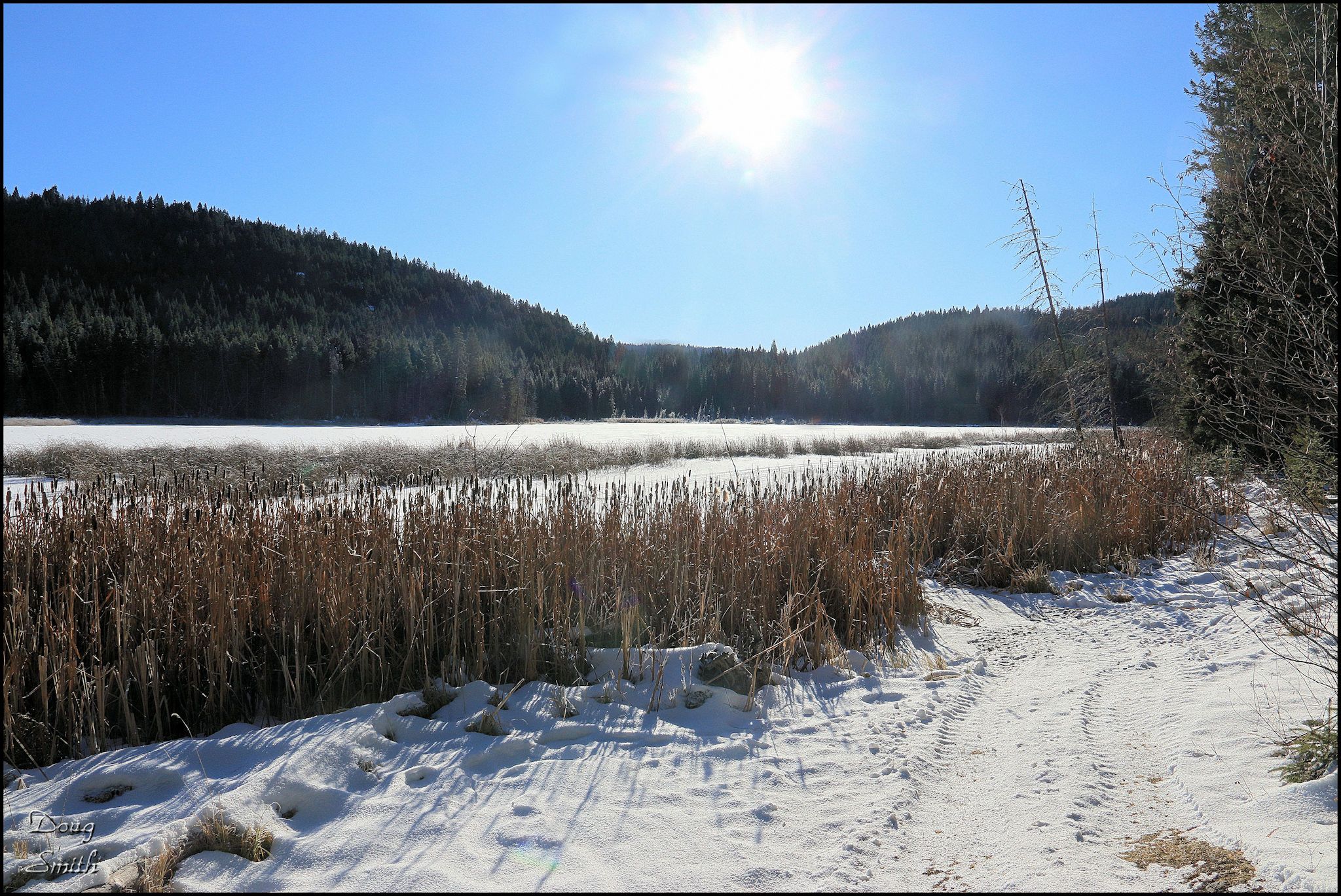 Roche Lakes Loop on the Snow