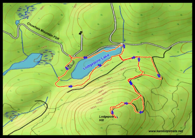 Lodgepole Hill - Kamloops Trails