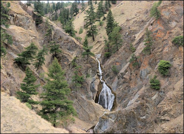 Around the Rim of the Peterson Creek Canyon