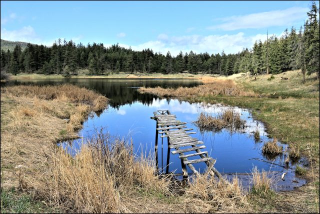 Dam Lake, Thickets Meadows, and Spade Lake