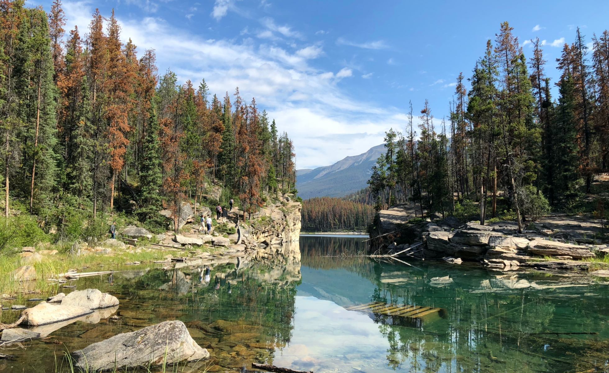 Photo of Jasper National Park