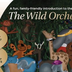 The Wild Orchestra Teaser