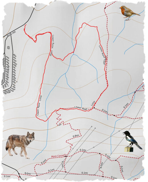 Lower Rose Loop Route - Kamloops Trails
