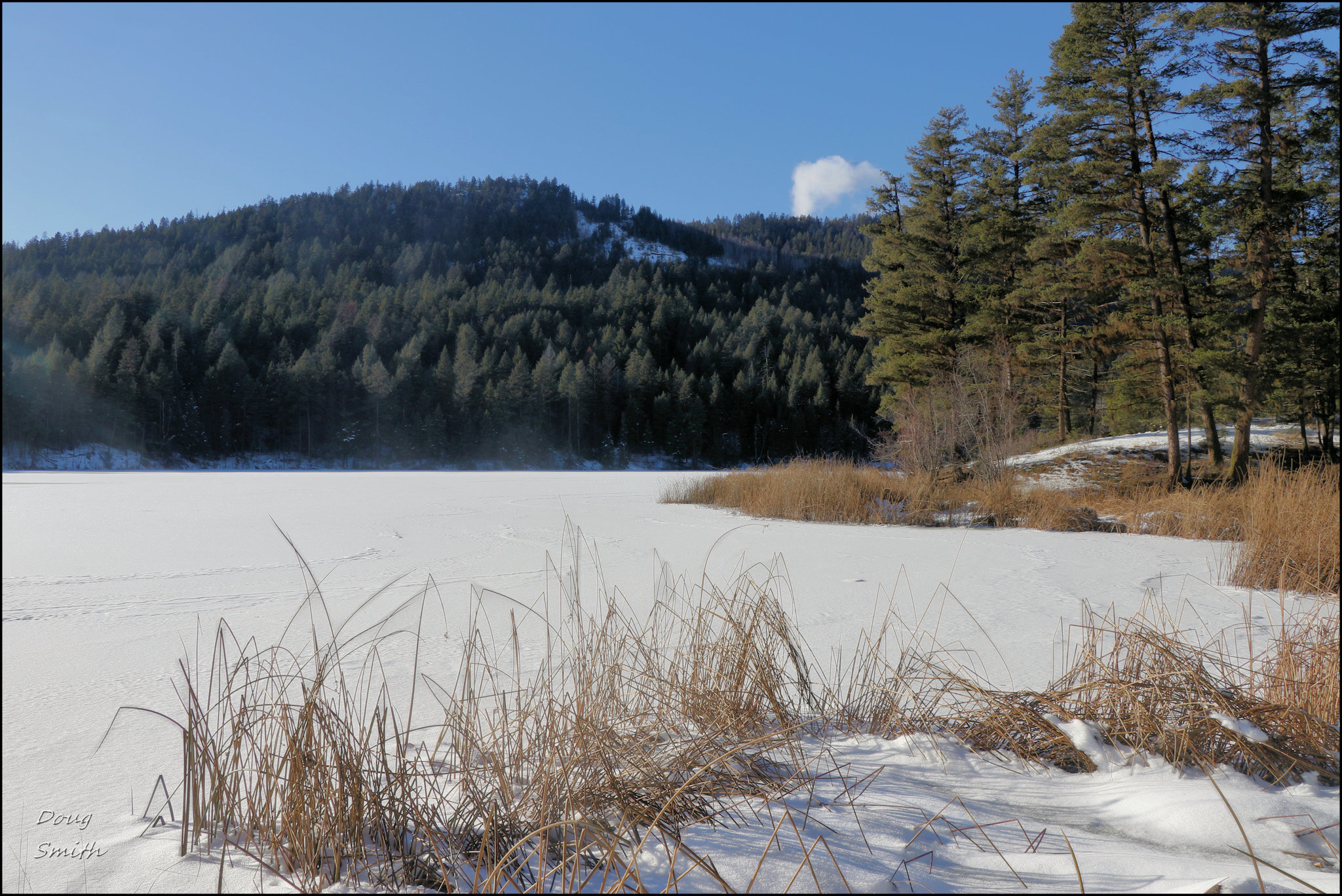 Mud Lake Loop - Kamloops Trails