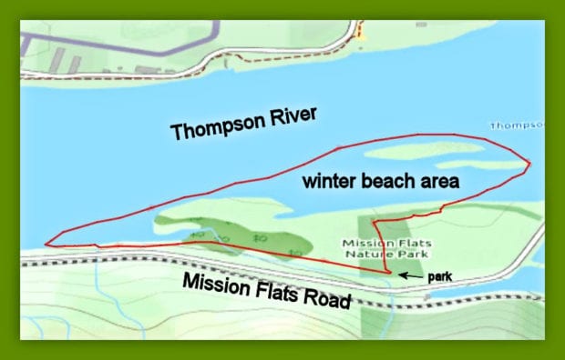 Hiking the Winter Beaches – Mission Flats