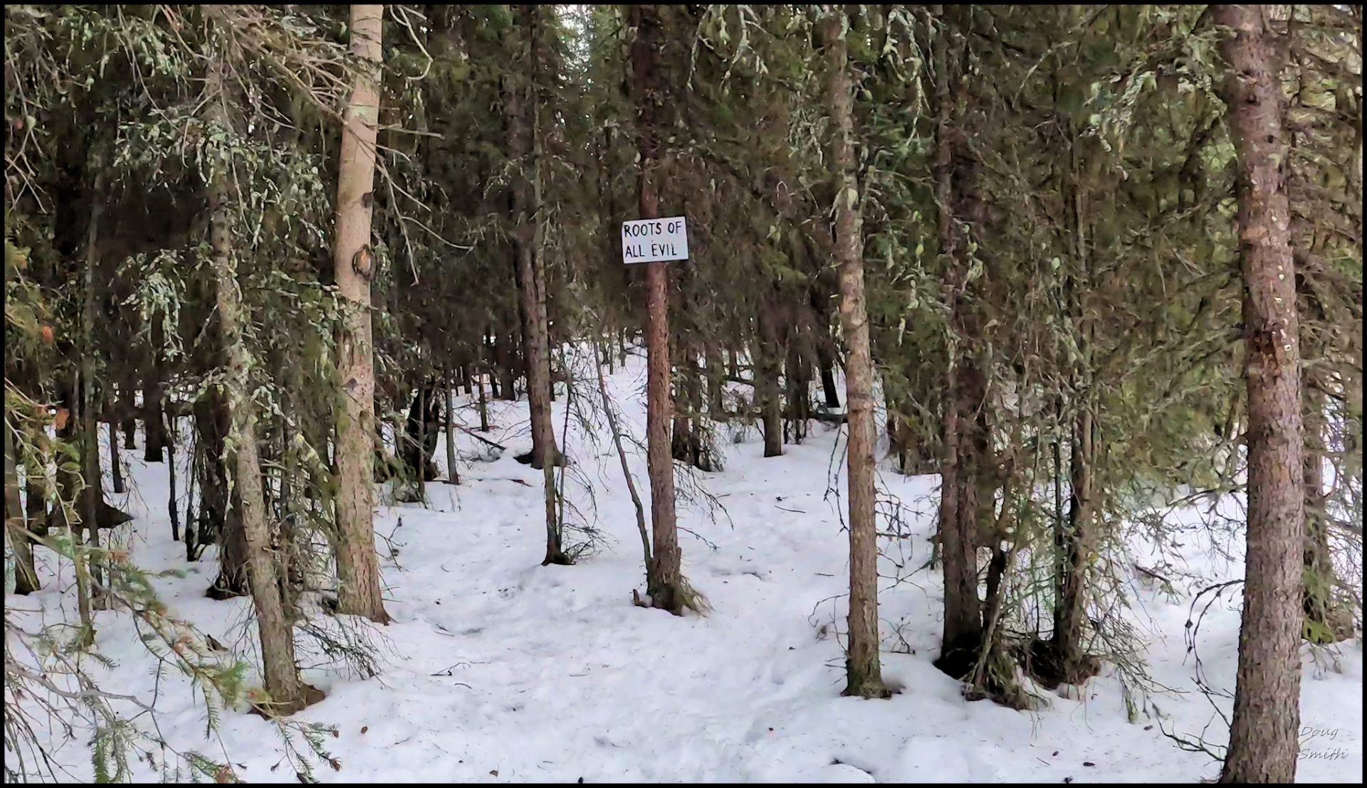 Snowshoeing near Lodgepole Lake - Kamloops Trails
