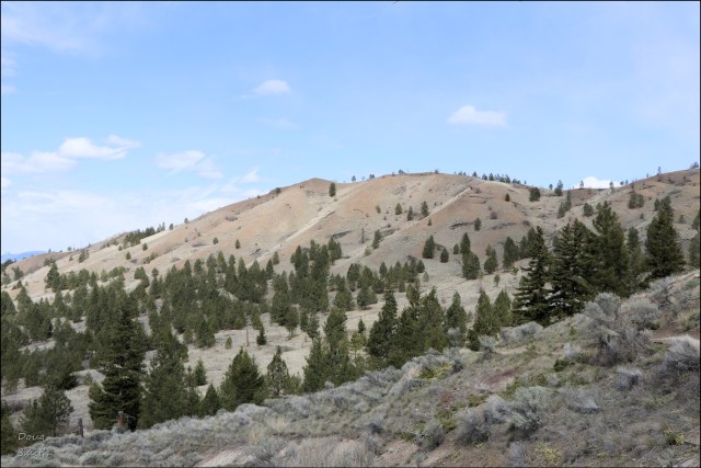 On the Sunset Trail – Kamloops Trails