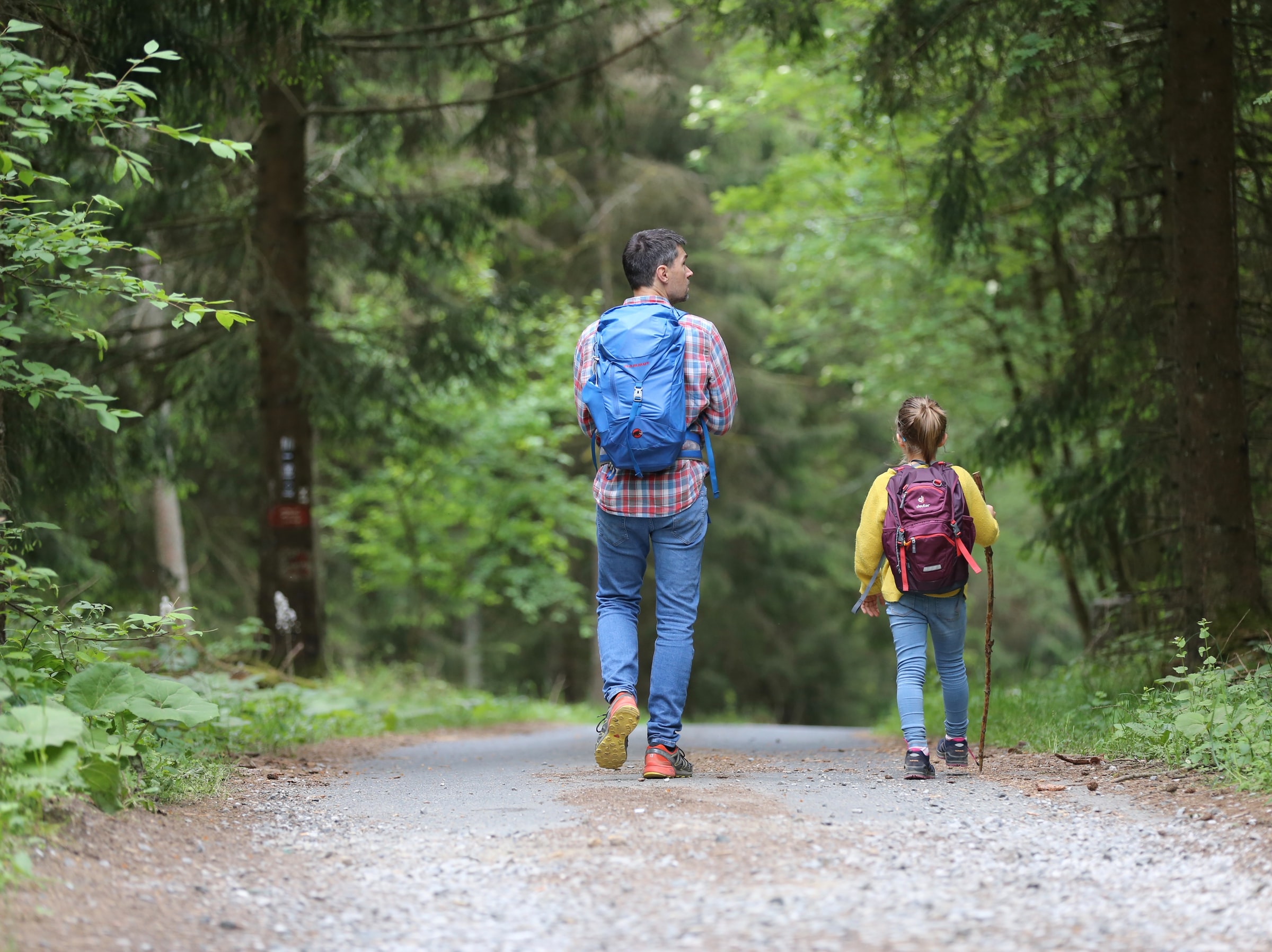 Man and child walking on dirt road in a forest