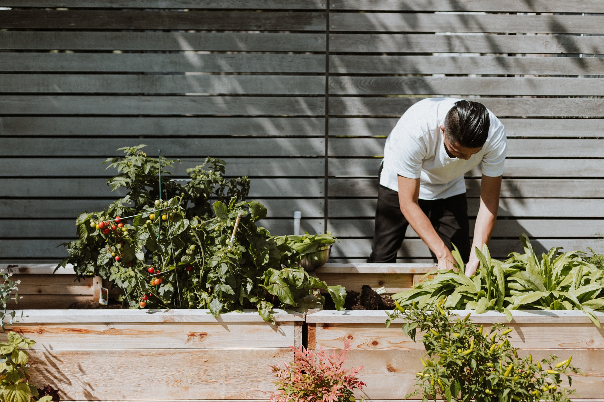 Man bent over working on home garden