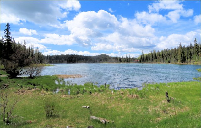 Our Best Hikes: Stake Lake Trails