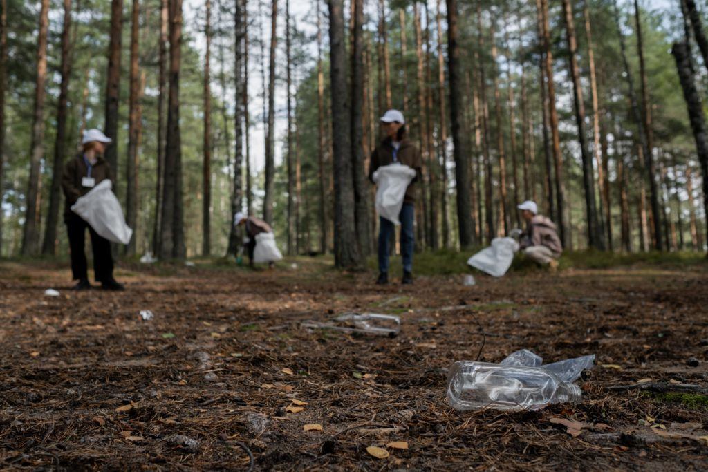 Group of people pick up plastic waste in a forest