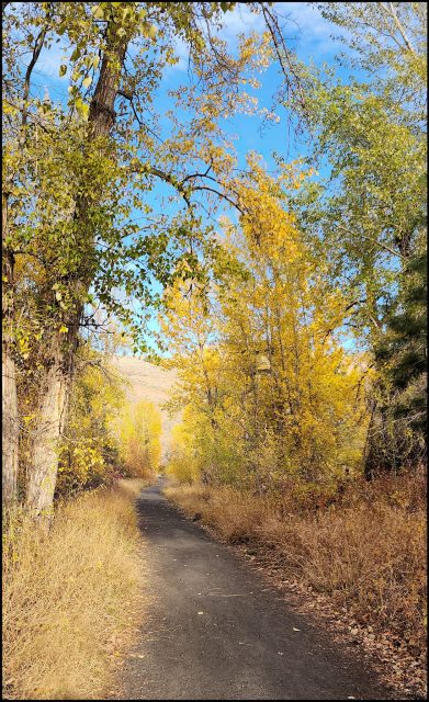 Tranquille River Fall Ramble – Kamloops Trails