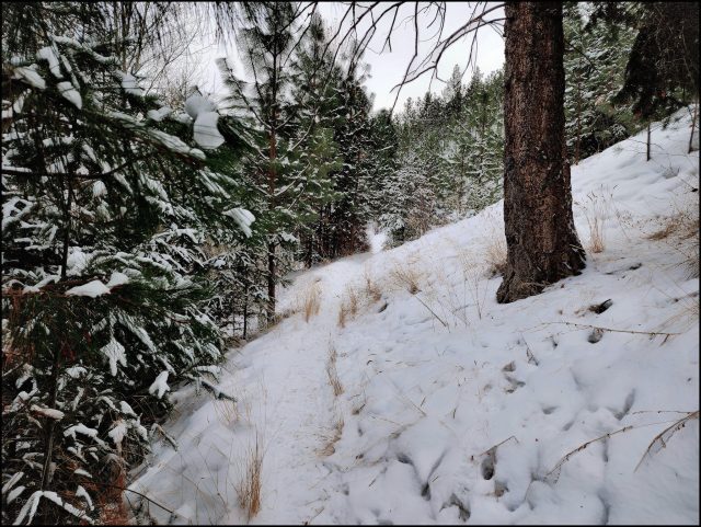 A Snowy East Rim Hike