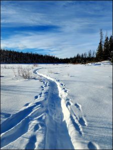 Walloper Creek Loop Snowshoe - Kamloops Trails