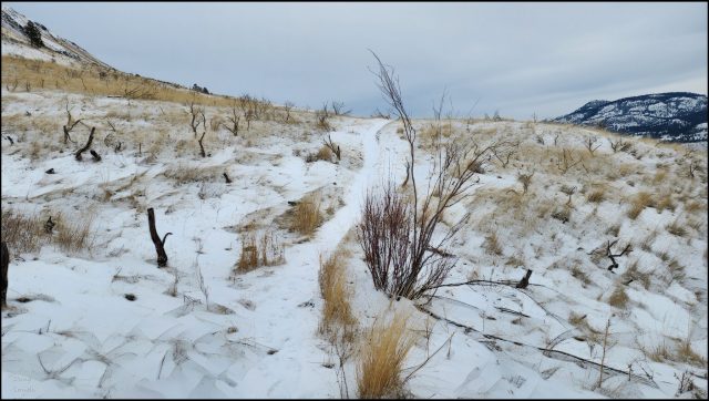 Hiking the Snowy Benchlands - Kamloops Trails
