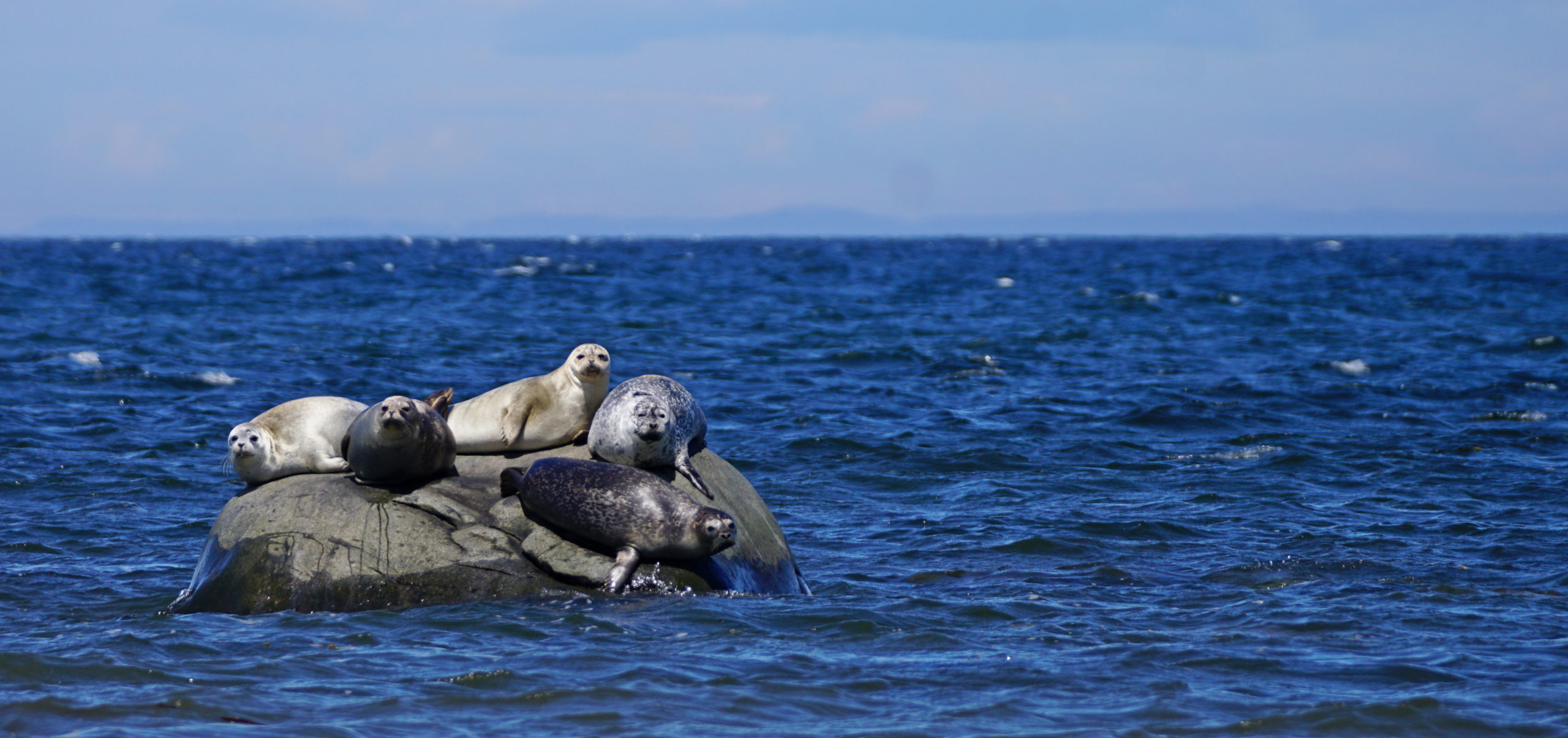 Protecting the high seas must be a high priority