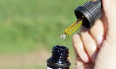 Mapping out the gaps in CBD oil research – TRU Newsroom