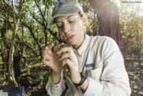 A bird in the hand provides great data – TRU Newsroom