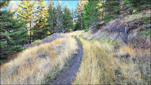 Hiking Above Juniper Ridge – Kamloops Trails